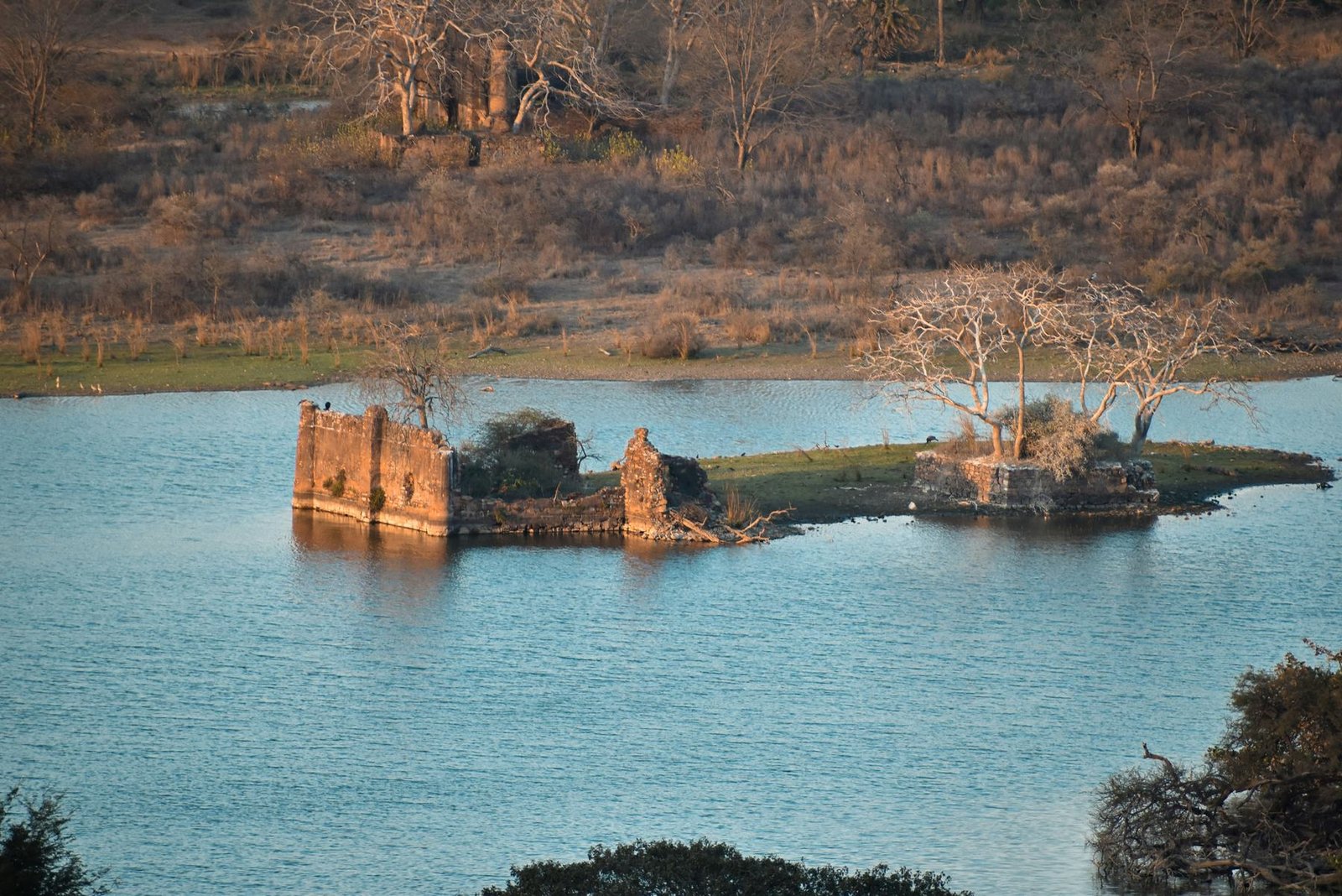 Ruined pavilion in Padam Talao, Ranthambore